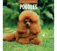 Poodles - 2026 Square Wall Calendar - by Red Robin Publishing