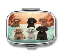 Poodles Dogs Pill Organizer Small Pill Box with Two Compartments Pill Case Metal Medicine Organizer Portable Medicine Box Holder Medication Holder Travel Pill Container