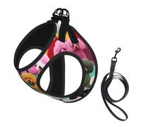 Poodles Dogs printing Puppy Harness, Dog Harness and Leash Set, Soft Mesh Reflective Breathable Lightweight Vest-Style
