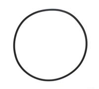 Pool Filter Tank O Ring for Pentair 270010061S O484 Long Lasting Rubber Seal for SPA RITE PLM100 Filtration Systems (1pc)