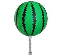 Pool Temp Gauge, Watermelon Indoor Meter, Floating Easy Read, Cold Plunge Tub, Hot Bath SPA, Aquarium Pond Utility, Reliable Measuring Device, for Monitoring Measuring Reading 23cm