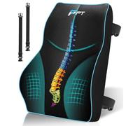POOTACK Lumbar Support Cushion, Memory Foam Back Support Cushion Lumbar Support for Office Chair, Car Seat, Recliner, with Extension Strap and Carry Bag Black