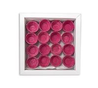 Pop Fuchsia Canape Shells, (40mm) x 60