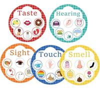 Pop Resin5 Senses Learning Activity Card Five Senses Learning Sorting Cards