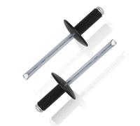 Pop Rivets 110 Pcs Rivets for Metal Aluminium Rivet 4.8x16mm Large Head Open End Rivet Black msymsyu for Joining Sheet Metal Wood Furniture Window Frames with Plastic Frames Easy Installation