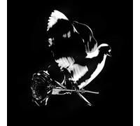Pop Smoke - Shoot For The Stars Aim For The Moon [CD]