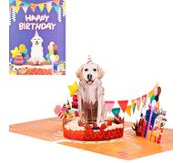 Pop-up Birthday Card,3D Labrador Card,for Dog Lovers