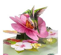 Pop up Birthday Cards for Women Hummingbird Hibiscus 3D Cards for Mum with Envelope Greeting for Anniversary Birthday