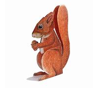 POP-UP CARD SQUIRREL WITH NUT: A folded 3-D-card of a cute squirrel with a hazelnut - sweet and dinky; greeting card with envelope