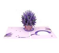 Pop-Up Flower Card 3D Greeting For Birthday Day Graduation Wedding Anniversary 3D Pop Up Invitation Card(Color 2)
