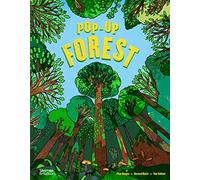 Pop-Up Forest: 3