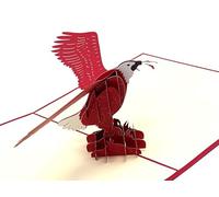 Pop-up Greeting Cards - Unique 3D Eagle-themed greeting cards for Christmas or birthdays, perfect for children to adults, featuring impressive animal shapes!