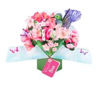 Pop Up Hummingbird & Flowers To A Wonderful Nan Card Suit Any Occasion POP223M11