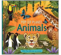 Pop-Up Planet: Animals – Pop-Up Planet 3 – Kingfisher