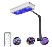 PopBloom RL180 Reef LED Light, 180W Reef Aquarium Lighting for SPS LPS Corals and Saltwater Fish Tanks,4 Channels Fully Programmable