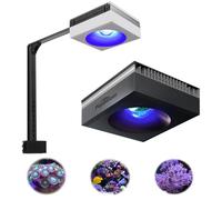 PopBloom RL90 LED Aquarium Light, Full Spectrum Aquarium Light for 16-24Inch Marine and Saltwater Tanks, Fish Tank Light with Wired Timer and Adjustable Brackets