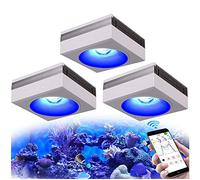 PopBloom WiFi Led Aquarium Reef Light 100W, Smart-APP Control Marine Tank Lighting Full Spectrum for Saltwater SPS/LPS Coral Fish Tanks (3 Lamps with Hanging Kit)
