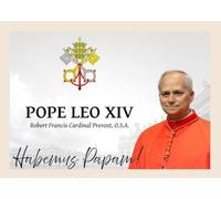 Pope Leo XIV Robert Francis Prevost vatican memorial fridge Magnet handmade gift idea 6x8 Cm APPROX not 3d print laminated plastic handmade not 3D New Pope papal Conclave habemus Papa religious theme