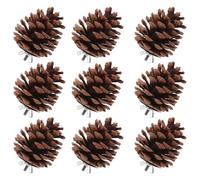 POPETPOP 10pcs Natural Pine Cone Parrot Foraging Hanging Chew Bird Shredding for Budgie Cockatiel Parakeet Cage Enrichment
