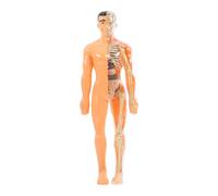 POPETPOP 1Set Interactive Human Body Anatomy Model Translucent Puzzle Assembly for Educational Anatomy Learning Tool Promotes Cognitive Development Motor Skills