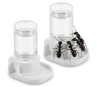 POPETPOP 2 Pcs Jumping Spider Ant Water Feeder, 3ml Ant Water Feeder, Plastic Bee Feeding Dish for Tarantula, Spider