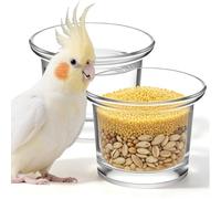 POPETPOP 2pcs Glass Hummingbird Feeders for Outdoors Hanging, Replacement Feeder Cups with Elegant Design, Easy to Clean and Versatile Decoration, for Balcony and Patio Use