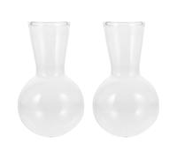 POPETPOP 2pcs Hydroponic Glass Bulb Vases for Flower Terrarium and Garden Plants, Glass Planters for Water Propagation and Home Decor