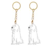 POPETPOP 2pcs Pet Keepsake Keyring with Abs Dog Hair Collector Container, Sturdy Storage and Display Box for Pet Hair Remembrance and Travel