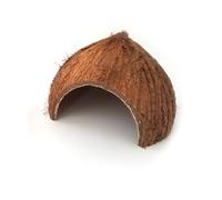POPETPOP 2pcs Reptile Supplies Coconut Shell Hides Caves for Lizards Chameleons Faunarium