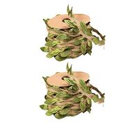 POPETPOP 2Rolls Natural Jute Twine Burlap Leaf Climbing Board Material with Artificial Vine Green Leaves Scratching Post Hemp Rope