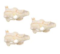 POPETPOP 3pcs Animal Skull Molding Reptile Hideout Resin Decoration Aquarium Accessory