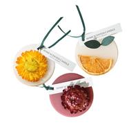 POPETPOP 3pcs Aromatherapy Wax Tablets for Wardrobe with Lanyard Handmade Scented Wax Odor and Fresh Air Deodorizer Compact Hanging Air Fresheners for Home and Closet