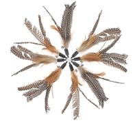 POPETPOP 8pcs Brown Pearl Plume Cat Refills for Cat Stick Interactive Indoor Kitten Playthings Replacement Attachments for Pet Exercise