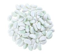 POPETPOP Aquarium Gravel Polished Substrate Stones Fish Tank Decorative Pebbles Underwater Landscaping for Vase Fillers,Plants Bonsai 500g (White)