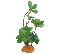 POPETPOP Artificial Green Plant Realistic Fake Plant Ornament for Reptile Aquarium and Fish Decoration Suitable for Turtle and Fish Habitat Accessories