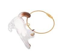 POPETPOP Cat Hair Storage Bottle Keychain Pet Keepsake Holder Box Memorial Keyring for Commemorative Kitten Whisker Collection