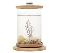 POPETPOP Creative Desktop Decorative Fish Aquarium Tank with Ecological Design, Phyllostachys Pubescens and Glass Material, Suitable for Indoor and Outdoor Use as Office Accessory