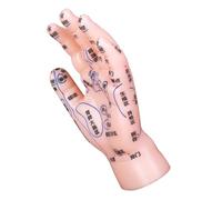 POPETPOP Educational Hand Reflexology Model Simulation Tool for Acupuncture and Massage Training Schools and Clinics Clearly Labeled for