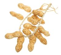 POPETPOP Fake Peanut Strings Foam and Hemp Rope Material with High Degree of Simulation 5pcs Hanging Decorative Peanut String Model for Catering Hall and Photo Props