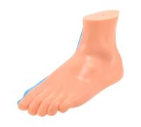 POPETPOP Human Foot Anatomy Model for Classroom Learning and Training, Realistic Vinyl Articulated Foot Figurine with Detailed Muscles, Flexible Vessel Representation, and Blood Vessel