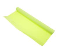 POPETPOP Large Reptile Carpet Mat with Light Green Colour Eva Material Sturdy Playing and Easy Cleaning for Leopard and Bearded Dragon for Glass Container Or Reptile