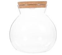 POPETPOP Led Light Ecological Bottle Fish Tank Micro Landscape Glass Terrarium Jar with Diy Home Decoration 6.30In Clear Glass Aquarium Bowl