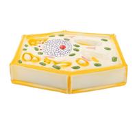POPETPOP Middle School Plant Cell Anatomy Model Biology Teaching Aid Enlarged Plant Cell Structure Science Educational School Supply for Classroom Use