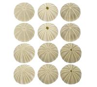 POPETPOP Natural Green Sea Urchin Shells and Craft Materials Accessory 18pcs Sea Shells for Aquarium Urchin Decors for Home Decor and Aquarium Landscaping Ornaments