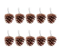 POPETPOP Natural Pine Cone Bird Hanging Chew for Parrots and Birds 10pcs Lightweight and Easy to Carry Providing Endless Entertainment in Cages