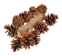 POPETPOP Natural Wood Parrot Hanging Chew with Pine Cone Built-In Suspension for Cage Use with Small Pet Birds and Parakeets