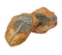 POPETPOP Pcs Chameleon Gecko Lizard Reptile Enclosure Decor Realistic Simulation Reptile Tank Accessories