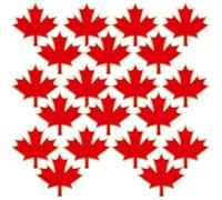 POPETPOP Red Maple Leaf Lapel Pins Made of Iron Brooch Pins 20pcs Simple Chic Design Vintage Autumn Fall Leaf Holiday Jewellery Accessories for Formal and Daily Use