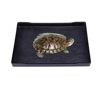 POPETPOP Reptile Food and Water Bowl-Large Reptile Water Dish Also Fit for Bath- Shallow Water Dish for Reptiles- Large Size (Black)