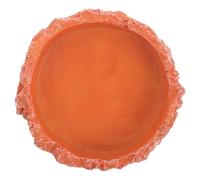 POPETPOP Resin Reptile Food Bowl Hard and Smooth Feeding Bowl and Water Dish for Small Animals and Reptiles Suitable for Turtle, Lizard, and Frog Terrarium Use